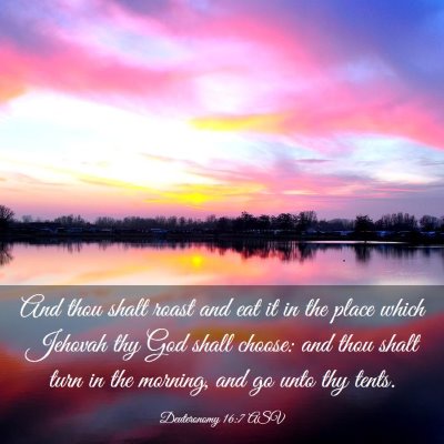 Picture 03 - Deuteronomy 16:7 ASV - And thou shalt roast and eat it in the place - Bible Verse Picture