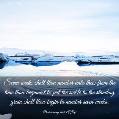 Picture 03 - Deuteronomy 16:9 ASV - Seven weeks shalt thou number unto thee: from the - Bible Verse Picture