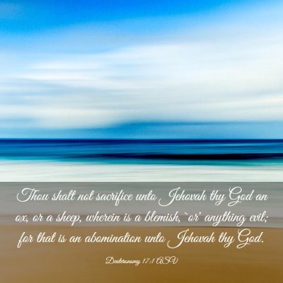 Picture 03 - Deuteronomy 17:1 ASV - Thou shalt not sacrifice unto Jehovah thy God an - Bible Verse Picture