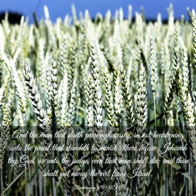 Picture 03 - Deuteronomy 17:12 ASV - And the man that doeth presumptuously, in not - Bible Verse Picture