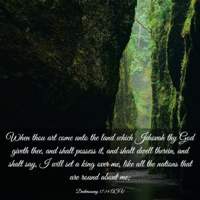 Picture 03 - Deuteronomy 17:14 ASV - When thou art come unto the land which Jehovah - Bible Verse Picture