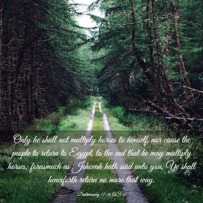 Picture 03 - Deuteronomy 17:16 ASV - Only he shall not multiply horses to himself, nor - Bible Verse Picture