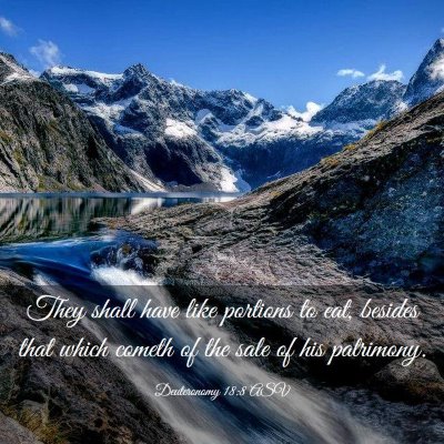 Picture 03 - Deuteronomy 18:8 ASV - They shall have like portions to eat, besides - Bible Verse Picture