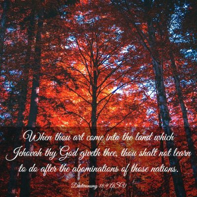 Picture 03 - Deuteronomy 18:9 ASV - When thou art come into the land which Jehovah - Bible Verse Picture
