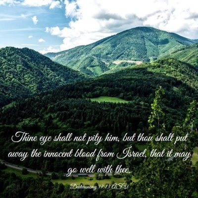 Picture 03 - Deuteronomy 19:13 ASV - Thine eye shall not pity him, but thou shalt put - Bible Verse Picture