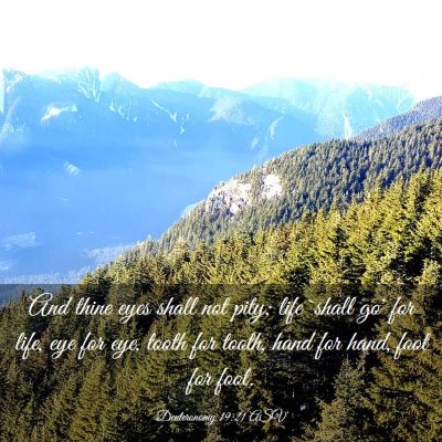 Picture 03 - Deuteronomy 19:21 ASV - And thine eyes shall not pity; life `shall go' - Bible Verse Picture