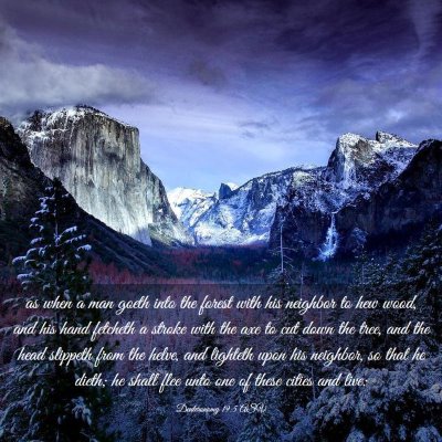 Picture 03 - Deuteronomy 19:5 ASV - as when a man goeth into the forest with his - Bible Verse Picture
