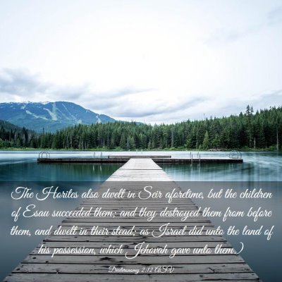 Picture 03 - Deuteronomy 2:12 ASV - The Horites also dwelt in Seir aforetime, but the - Bible Verse Picture