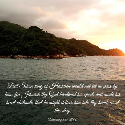Picture 03 - Deuteronomy 2:30 ASV - But Sihon king of Heshbon would not let us pass - Bible Verse Picture