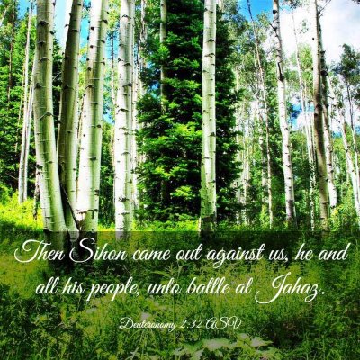 Picture 03 - Deuteronomy 2:32 ASV - Then Sihon came out against us, he and all his - Bible Verse Picture