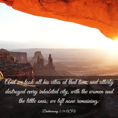 Picture 03 - Deuteronomy 2:34 ASV - And we took all his cities at that time, and - Bible Verse Picture