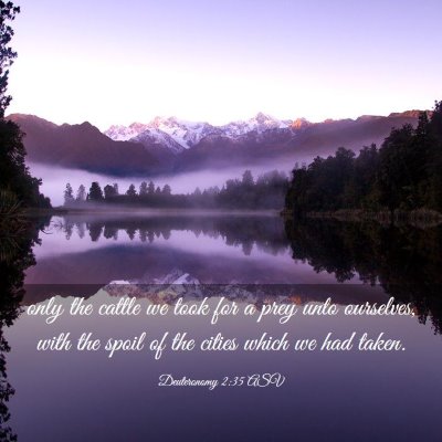 Picture 03 - Deuteronomy 2:35 ASV - only the cattle we took for a prey unto - Bible Verse Picture