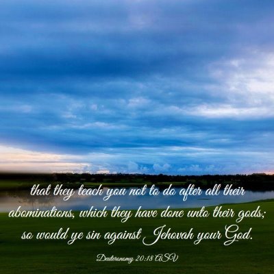 Picture 03 - Deuteronomy 20:18 ASV - that they teach you not to do after all their - Bible Verse Picture