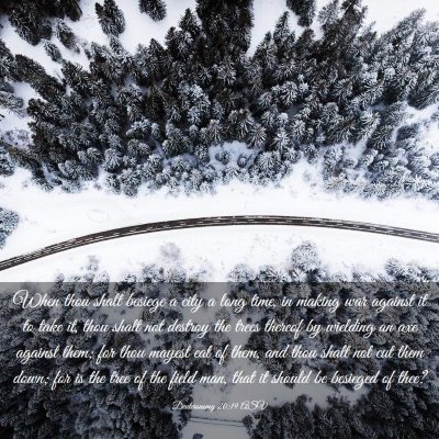 Picture 03 - Deuteronomy 20:19 ASV - When thou shalt besiege a city a long time, in - Bible Verse Picture