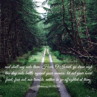 Picture 03 - Deuteronomy 20:3 ASV - and shall say unto them, Hear, O Israel, ye draw - Bible Verse Picture