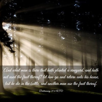 Picture 03 - Deuteronomy 20:6 ASV - And what man is there that hath planted a - Bible Verse Picture