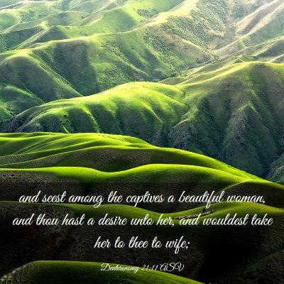 Picture 03 - Deuteronomy 21:11 ASV - and seest among the captives a beautiful woman, - Bible Verse Picture