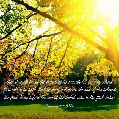 Picture 03 - Deuteronomy 21:16 ASV - then it shall be, in the day that he causeth his - Bible Verse Picture