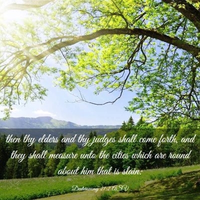 Picture 03 - Deuteronomy 21:2 ASV - then thy elders and thy judges shall come forth, - Bible Verse Picture