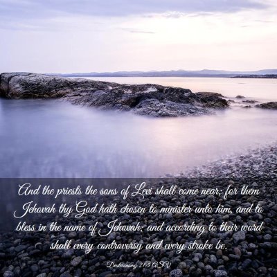 Picture 03 - Deuteronomy 21:5 ASV - And the priests the sons of Levi shall come near; - Bible Verse Picture