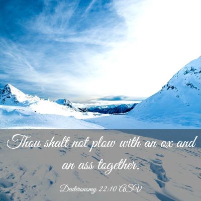 Picture 03 - Deuteronomy 22:10 ASV - Thou shalt not plow with an ox and an ass - Bible Verse Picture