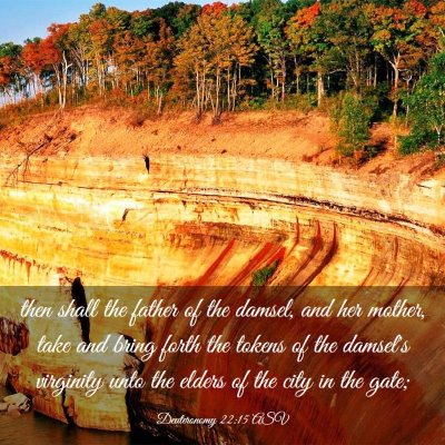 Picture 03 - Deuteronomy 22:15 ASV - then shall the father of the damsel, and her - Bible Verse Picture