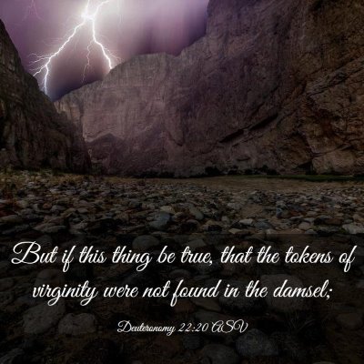 Picture 03 - Deuteronomy 22:20 ASV - But if this thing be true, that the tokens of - Bible Verse Picture