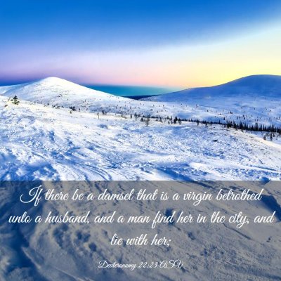 Picture 03 - Deuteronomy 22:23 ASV - If there be a damsel that is a virgin betrothed - Bible Verse Picture