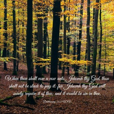 Picture 03 - Deuteronomy 23:21 ASV - When thou shalt vow a vow unto Jehovah thy God, - Bible Verse Picture