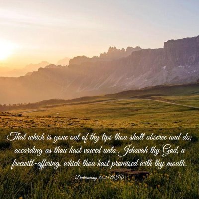 Picture 03 - Deuteronomy 23:23 ASV - That which is gone out of thy lips thou shalt - Bible Verse Picture