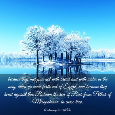 Picture 03 - Deuteronomy 23:4 ASV - because they met you not with bread and with - Bible Verse Picture