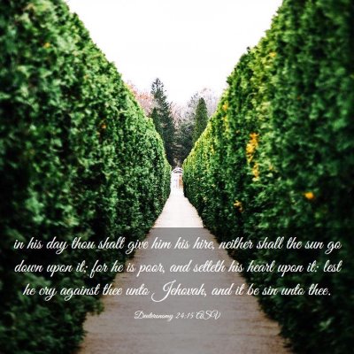 Picture 03 - Deuteronomy 24:15 ASV - in his day thou shalt give him his hire, neither - Bible Verse Picture