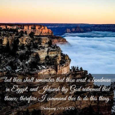 Picture 03 - Deuteronomy 24:18 ASV - but thou shalt remember that thou wast a bondman - Bible Verse Picture