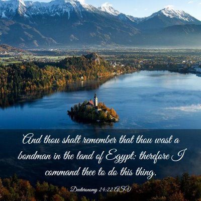 Picture 03 - Deuteronomy 24:22 ASV - And thou shalt remember that thou wast a bondman - Bible Verse Picture