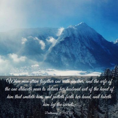 Picture 03 - Deuteronomy 25:11 ASV - When men strive together one with another, and - Bible Verse Picture