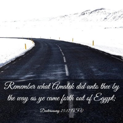 Picture 03 - Deuteronomy 25:17 ASV - Remember what Amalek did unto thee by the way as - Bible Verse Picture