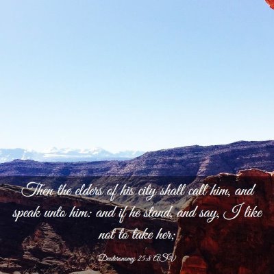 Picture 03 - Deuteronomy 25:8 ASV - Then the elders of his city shall call him, and - Bible Verse Picture