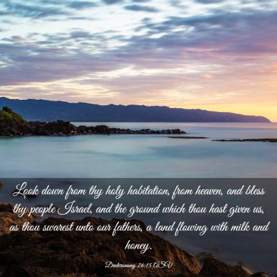 Picture 03 - Deuteronomy 26:15 ASV - Look down from thy holy habitation, from heaven, - Bible Verse Picture