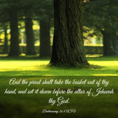 Picture 03 - Deuteronomy 26:4 ASV - And the priest shall take the basket out of thy - Bible Verse Picture