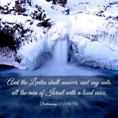 Picture 03 - Deuteronomy 27:14 ASV - And the Levites shall answer, and say unto all - Bible Verse Picture