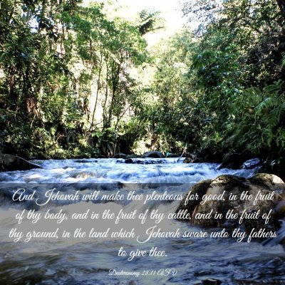 Picture 03 - Deuteronomy 28:11 ASV - And Jehovah will make thee plenteous for good, in - Bible Verse Picture