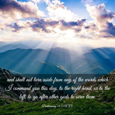 Picture 03 - Deuteronomy 28:14 ASV - and shalt not turn aside from any of the words - Bible Verse Picture