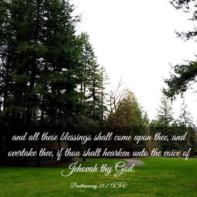 Picture 03 - Deuteronomy 28:2 ASV - and all these blessings shall come upon thee, and - Bible Verse Picture