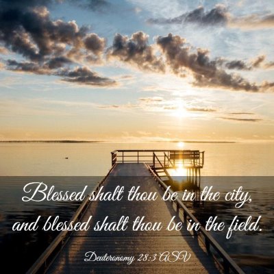 Picture 03 - Deuteronomy 28:3 ASV - Blessed shalt thou be in the city, and blessed - Bible Verse Picture