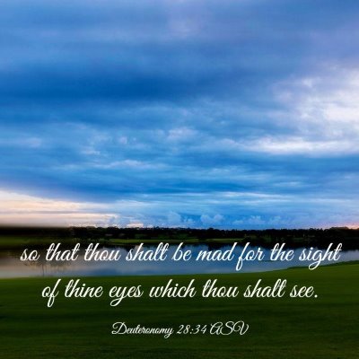 Picture 03 - Deuteronomy 28:34 ASV - so that thou shalt be mad for the sight of thine - Bible Verse Picture