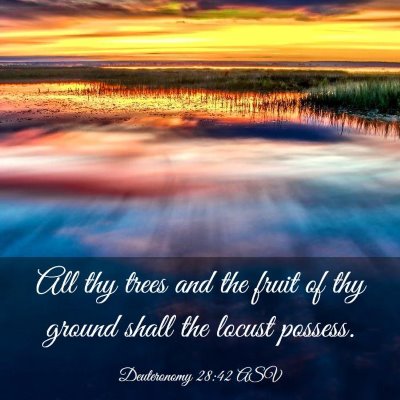 Picture 03 - Deuteronomy 28:42 ASV - All thy trees and the fruit of thy ground shall - Bible Verse Picture