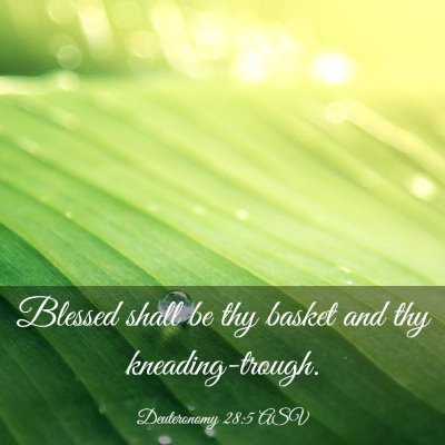 Picture 03 - Deuteronomy 28:5 ASV - Blessed shall be thy basket and thy - Bible Verse Picture