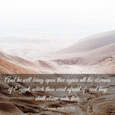 Picture 03 - Deuteronomy 28:60 ASV - And he will bring upon thee again all the - Bible Verse Picture