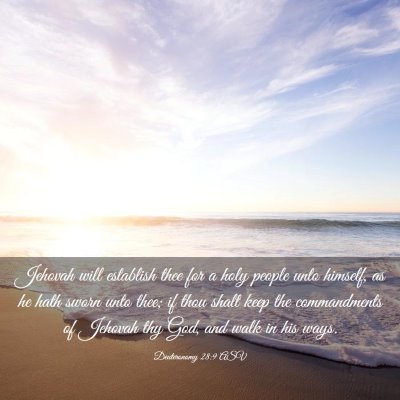 Picture 03 - Deuteronomy 28:9 ASV - Jehovah will establish thee for a holy people - Bible Verse Picture