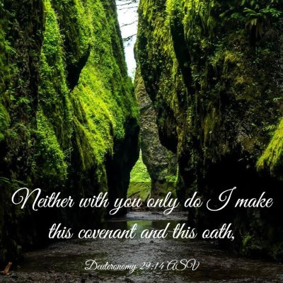 Picture 03 - Deuteronomy 29:14 ASV - Neither with you only do I make this covenant and - Bible Verse Picture